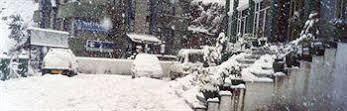 Hôtel De Park à Shimla Extérieur photo